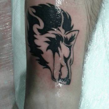 Фото с портфолио Юра Кононюк 