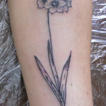 Фото с портфолио Юра Кононюк 