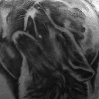 Фото с портфолио Юра Кононюк 