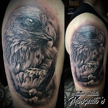 Николай Комарницкий, Ровно Фото - 60