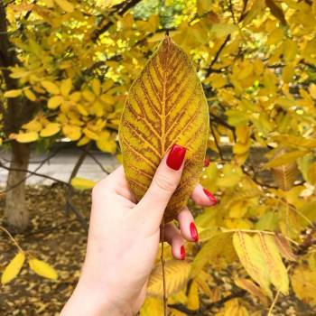 Екатерина , Измаил Фото - 11