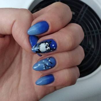 Фото с портфолио Ольга Чернова 