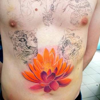 Слон, Киев Фото - 24