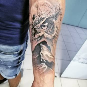 тату сова