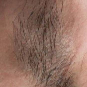 Гармонія, Олександрія Фото - 6