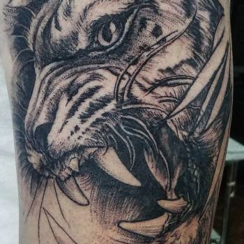 Дмитрий Шевченко, Дніпро Фото - 47