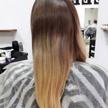 Фото с портфолио Zebra