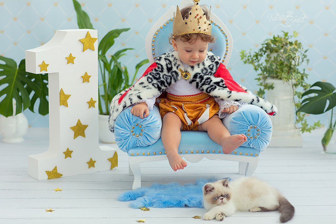 Фотосесія у студії дитяча з котом, фото - Фотограф Валентина Корибут