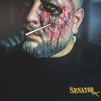 Сенатор, Каменское Фото - 7