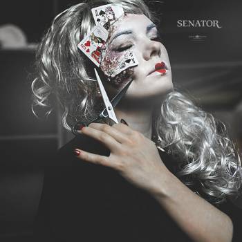 Сенатор, Каменское Фото - 11