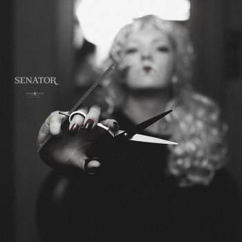 Сенатор, Каменское Фото - 13