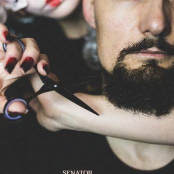 Сенатор, Каменское Фото - 16