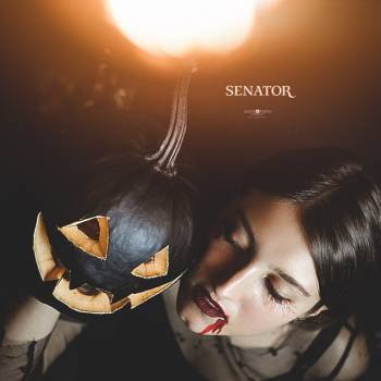 Сенатор, Каменское Фото - 20