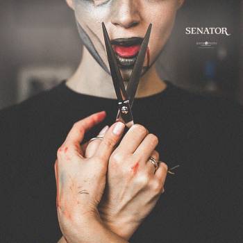 Сенатор, Каменское Фото - 23