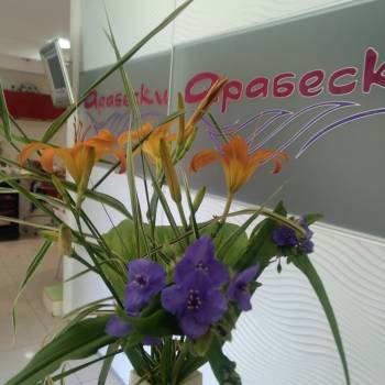 женская стрижка, барбершоп