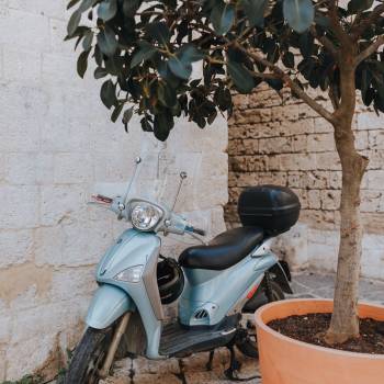 Алина Чумакова , Київ Фото - 9