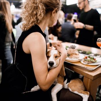 Фото с портфолио Александр Радомский 