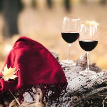 Фото с портфолио Светлана Мнишенко 