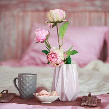 Фото с портфолио Ева Литвак 