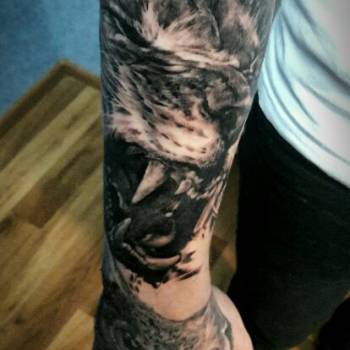 Павел Толок , Запоріжжя Фото - 8