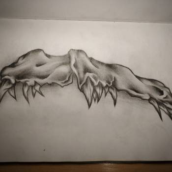 Фото с портфолио Vova Gas 