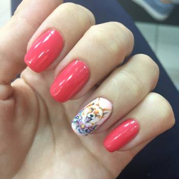 Фото с портфолио Анастасия Вакуленко 