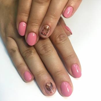 Фото с портфолио Анастасия Вакуленко 