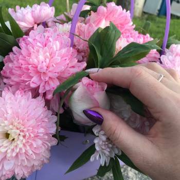 Фото с портфолио Orlova