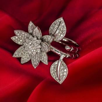 Фото с портфолио Александр Новый 