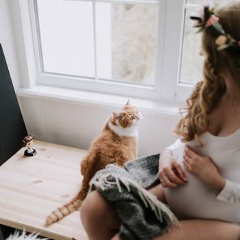 Фото с портфолио Татьяна Тарасовская 