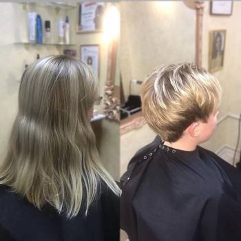 Алькор, Вінниця Фото - 35