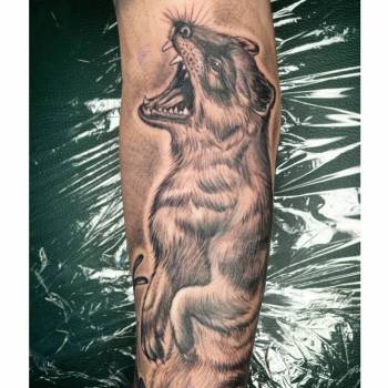 Анастасия Заворотная, Черкассы Фото - 32