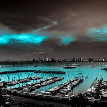 Фото с портфолио Дмитрий Томсон 