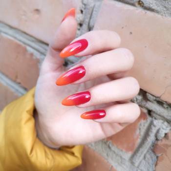 Фото с портфолио Елена Хмарук 