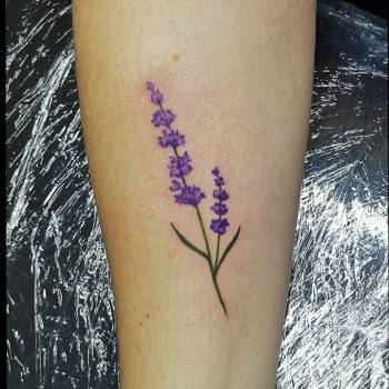 Таня TaniKa, Днепр Фото - 28