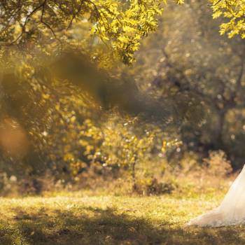 Фото с портфолио Наталя Ясиневич 