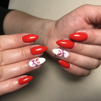 Фото с портфолио Альона Бондар