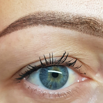 Пудрове напилення брів
                    Студия татуажа Майстерня перманентного макіяжу Олени Олійник Львов