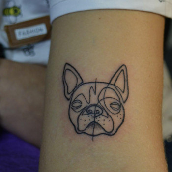 Фото с портфолио Игорь Павлов 