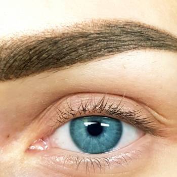 Пудрове напилення брів 