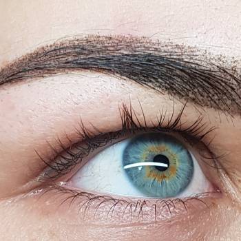 Пудрове напилення