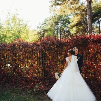 Фото с портфолио Александр Супрунюк 