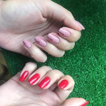 М'ята, Фастів Фото - 6