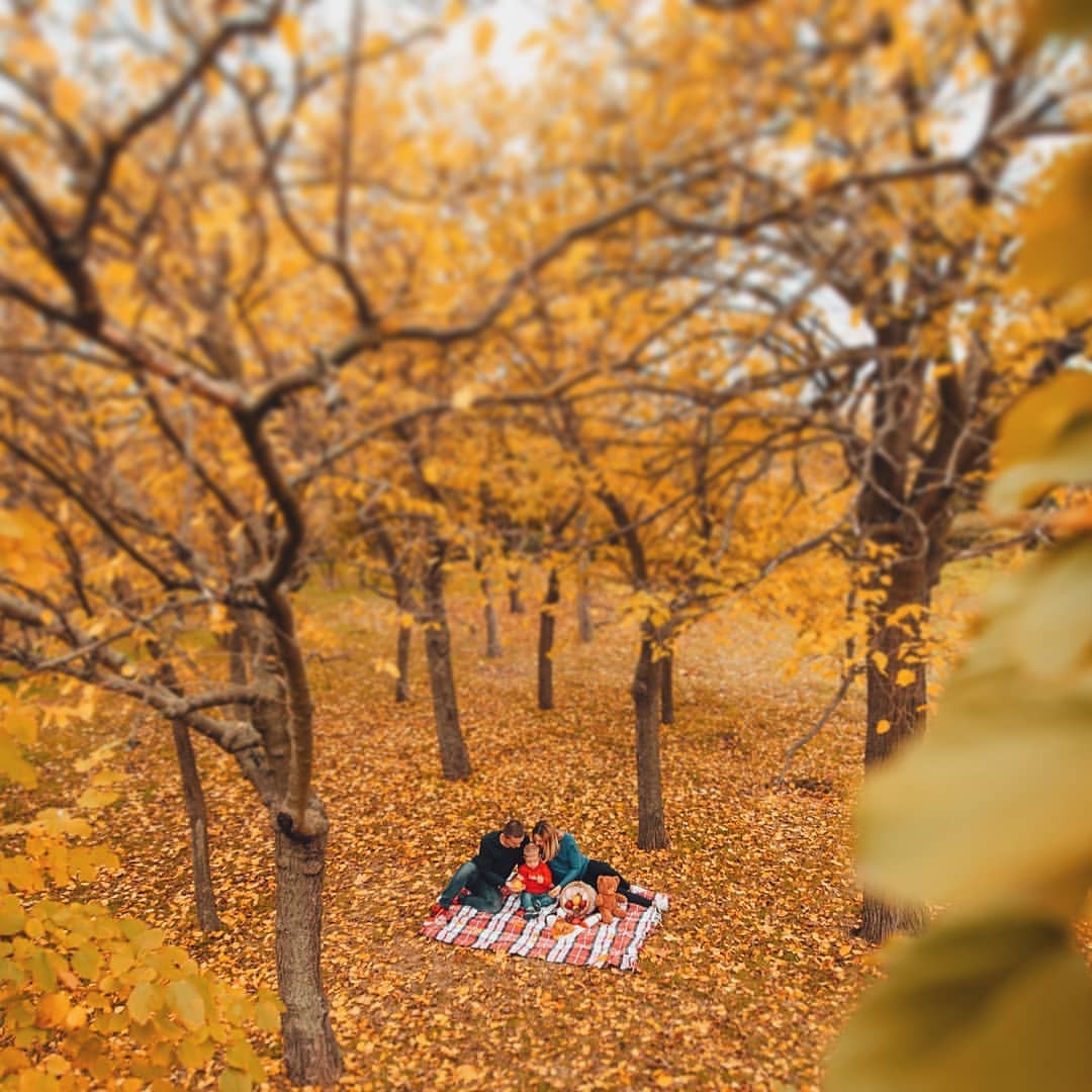 Осіння фотосесія сімейна на природі, фото - Фотограф Александр Мелоян