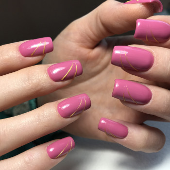 Фото с портфолио Orlova