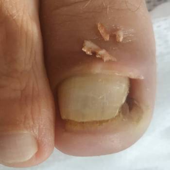 Виктория Городецкая, Каменец-Подольский Фото - 67