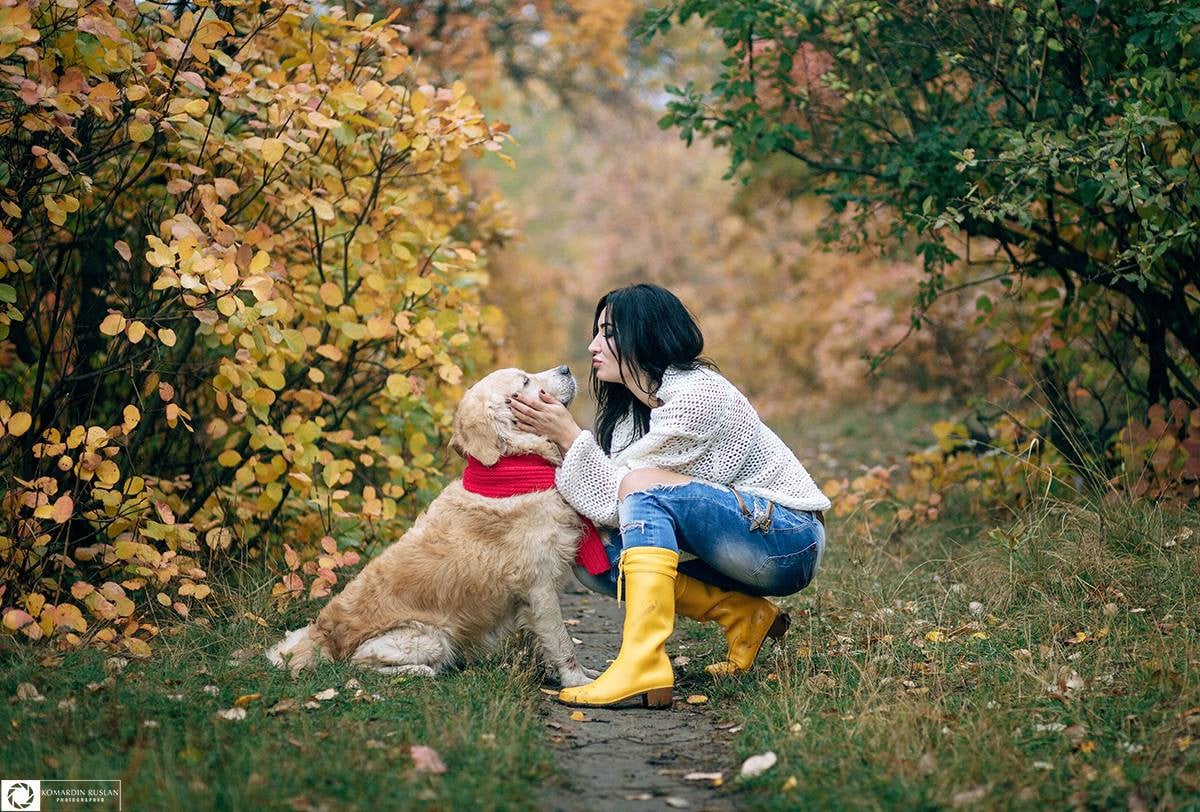 Осіння фотосесія на природі із собакою, фото - Фотограф Руслан Комардин