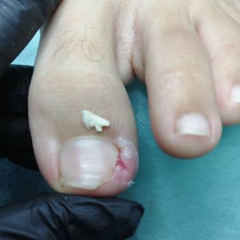 Наталья Ципина Гордій, Краматорськ Фото - 5