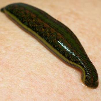 Фото с портфолио Медична клініка сестер Похмурських