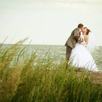 Фото с портфолио Елена Гриценко 